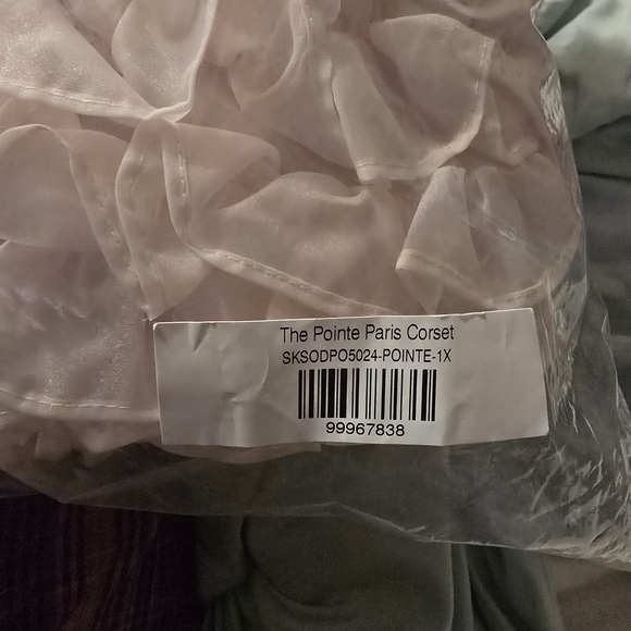 Selkie The Pointe Paris Baby Pink Corset 1X - Picture 2 of 4